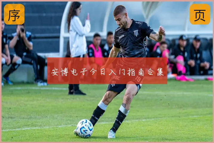 安博电子今日入门指南合集